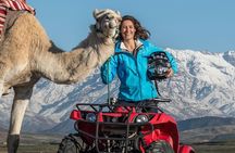 Full Day Private Trip from Marrakech to Atlas with Lunch 