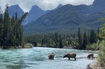 The Canmore History Tour - 1.5H Walk