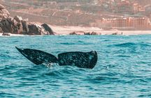 The Finest Private Yacht Experience in Cabo