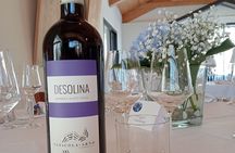 Wine Tour and Tasting with the Producer in the Monferrato-Classic