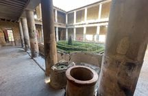 Half Day Guided Tour to Pompeii Ruins from Amalfi Coast