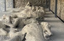 Half Day Guided Tour to Pompeii Ruins from Amalfi Coast