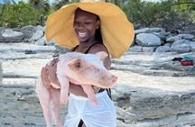 Bahamas Swimming Pigs Experience on Rose Island 