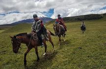 Cotopaxi Horseback Riding Tour from Quito – Andes Adventure