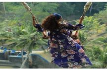 Tour: Ubud Monkey Forest-Jungle Swing-RiceTerrace-Tanah LotTemple