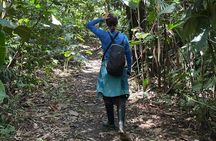 6 Days Tour in Manu National Park / Cusco - Puerto Maldonado