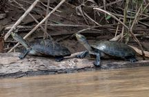 6 Days Tour in Manu National Park / Cusco - Puerto Maldonado