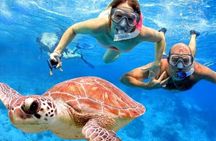 Full-Day Tour in Nusa Penida Island + Snorkeling Experience 