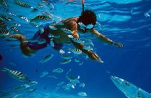 Full-Day Catamaran Cozumel Tour with Sky Snorkeling and Club