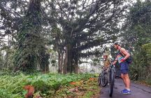 The Volcano Trail