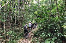 The Volcano Trail