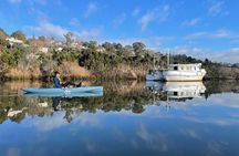 Guided Kayak Tour on Launceston's scenic waterfront on foot powered Hobie kayaks