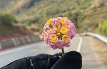 6- Day Trip Uttarakhand Getaway - To The Yoga Capital Of The World 