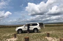 Maputo National Park (Maputo Special Reserve) Full-day Tour