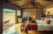 4 Day Luxe Garden Route Selection Small Group Tour from Cape Town