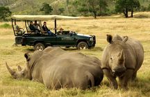 4 Day Garden Route Luxe Selection Micro Group Tour from Cape Town