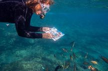 Guided Snorkel Experience