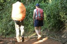 7 Days Kilimanjaro Climbing | Hiking Tour via the Lemosho Route