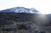 7 Days Kilimanjaro Climbing | Hiking Tour via the Lemosho Route