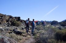 7 Days Kilimanjaro Climbing | Hiking Tour via the Lemosho Route