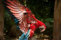 Private 3-Day Iguazu Falls Tour