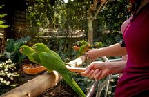 Private 3-Day Iguazu Falls Tour