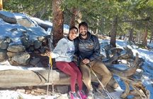 Guided hike in Rockies - Half Day Trip
