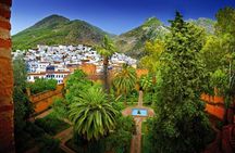 Full-Day Chefchaouen Unique Private Guided Tour from Tangier