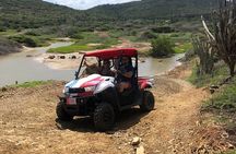 UTV Island Tour around Aruba