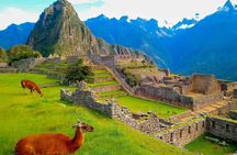 Machu Picchu Day Trip from Ollantaytambo & Urubamba
