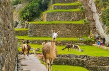 Machu Picchu Day Trip from Ollantaytambo & Urubamba