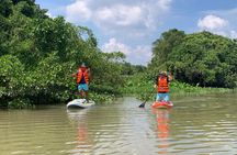 Explore Cu Chi Tunnels on Stand Up Paddle with lunch.