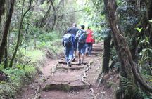 Top 5 Days Kilimanjaro Hiking | Climbing Tour by Marangu Route