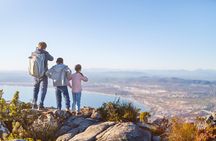 Cape Town Table Mountain Cape Point Penguins Full-Day Private Tour