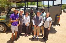 Kruger National Park Full-Day Tour