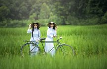 Hoi An Bicycle Tour: Rice Fields, Village & Local Life Experience