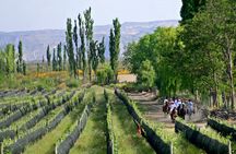 Wine paths