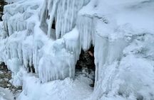 Bruce Peninsula Day Trip from Toronto