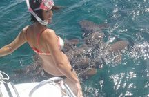 Semi-private Exclusive All-in-1 Full Day Guided Tour