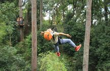 Chiang Mai Zip Line Experience