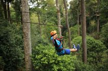 Chiang Mai Zip Line Experience