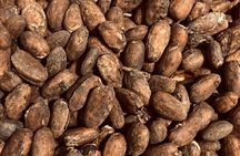 Chocolate Tour Including Hot Chocolate and Samples