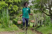 Liamuiga Natural Farm Tour