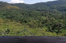 Full-Day Volta Experience ( Mount Gemi and Monkey Sanctuary) Private Tour