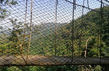 Full-Day Volta Experience ( Mount Gemi and Monkey Sanctuary) Private Tour