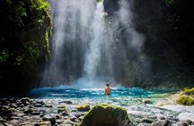 Rainforest Land of Senses Walking and Thermals Tour