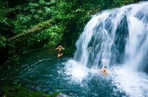 Rainforest Land of Senses Walking and Thermals Tour