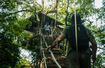 Rainforest Land of Senses Walking and Thermals Tour
