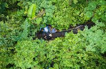 Rainforest Land of Senses Walking and Thermals Tour