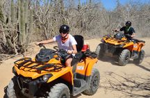 Single ATV Tour from Migriño Beach & Desert